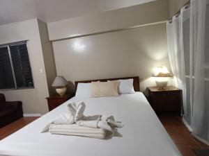 Baguio Vibes Staycation