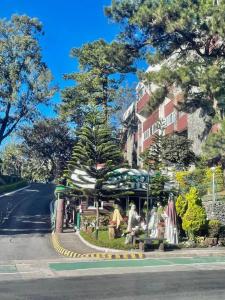 Baguio Vibes Staycation
