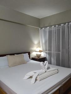 Baguio Vibes Staycation