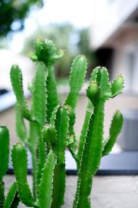 The Hamptons Hideaway