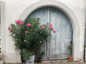 Ferienhäuschen am Heumarkt - 3hvězdičkové hotely ve městě Deidesheim