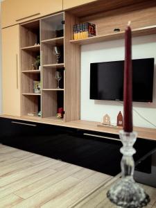 Mountain View Muscel Apartment