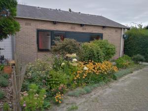 gemütliches Ferienhaus an der Küste Nordholland Sint Maartenszee Boerenslag 5