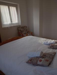 Gîte les coquelicots