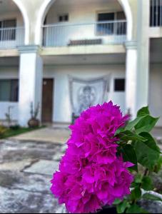 Hotel y Hostal Casa Don Alfonso