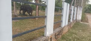 Secret Relax Inn Hotel & Guest House