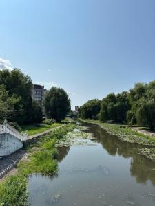 Cozy apartment in the center