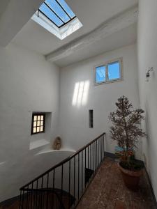 Loft vue Canigou - Maureillas