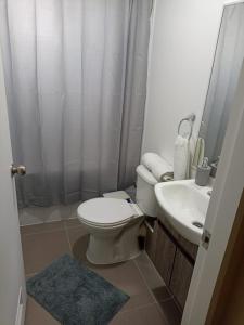 Dpto Condominio Volcán Villarrica