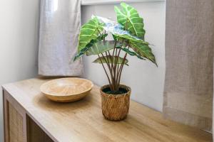 Moderne Zwei Zimmer Altbauwohnung im Stadtkern