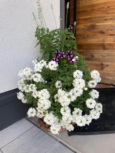 Mountain Apart Lechtal