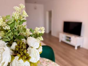 Vesel Fluturas Chic Apartment