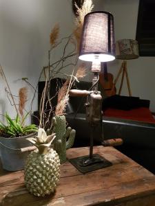 Le colibri du Luberon