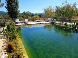 Le colibri du Luberon