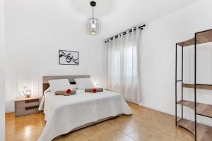 Alessias Flat - Borgo Palazzo 005