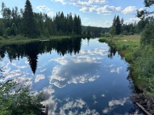 House near forest and water
