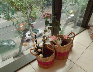 Terrazas Suites 8