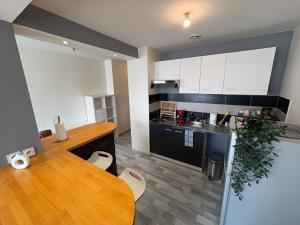 Appartement Cosy au coeur de Saint Etienne