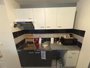 Appartement Cosy au coeur de Saint Etienne