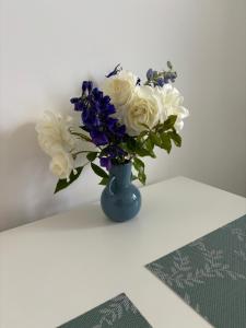 Nocleg na doby S 61 ROAD