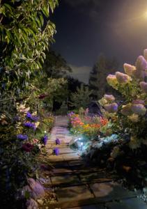 Czereśniowe Wzgórze Sandomierz jakuzzi