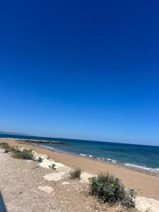 La barraca del pescador