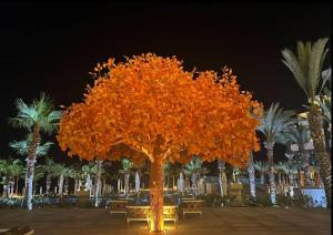 Deluxe Room at Garza Blanca Los Cabos