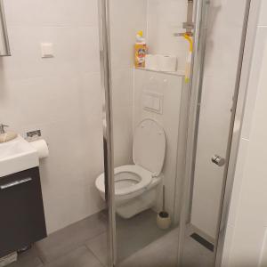 Cozy Vienna City Apartment near Central Station