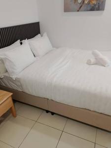 Terra Haven DArena, Transit KLIA