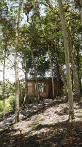 Cabaña Del Ermitaño entre los árboles del bosque de Efímero la Ceja