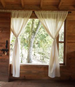 Cabaña Del Ermitaño entre los árboles del bosque de Efímero la Ceja