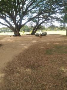 Dambulla