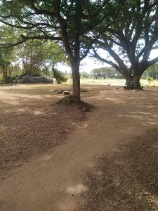 Dambulla