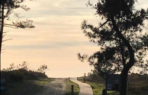 Séjour famille Camping 5 étoiles
