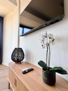 Cozy and fully equipped in the center of Liege 4 guests