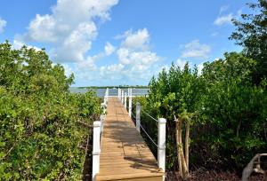 Havana Mango Compound