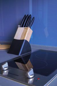 Luxury penthouse with Jacuzzi near the T area