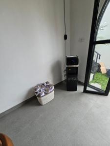 Casa Dissa 3 Bedroom Villa in Canggu