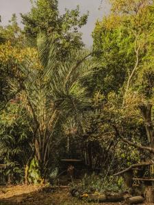 Suíte Oriente Vale do Capão Refúgio acolhedor com vista para montanha & pet friendly