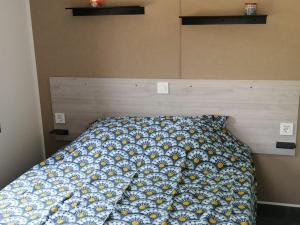 Mobil-home avec terrasse accès handicapé au Boulou - API-1-52-641