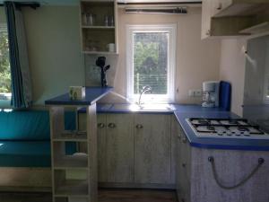 Mobil-home familial avec terrasse à Vendays-Montalivet - API-1-52-362