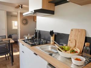 Mobil-home confortable 4 pers avec terrasse - API-1-52-611