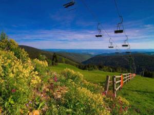 Apartment in Jachymov near Ski Lift