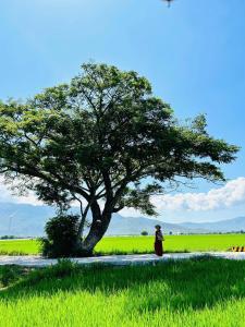 Homestay Về Nhà Chơi