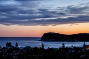 Driftwood Copacabana