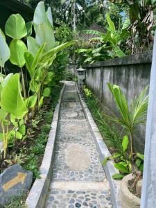 Raja House