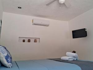 Hotel Posada Mykonos