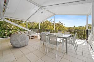 Adder View by Discover Stradbroke