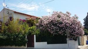Appartements Cielito Lindo : photos des chambres