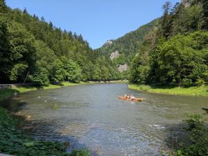 Apartament NA WIYRCHU